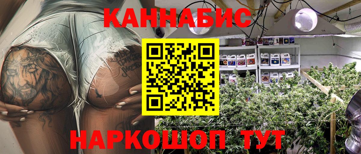 Шишки марихуана конопля Тара